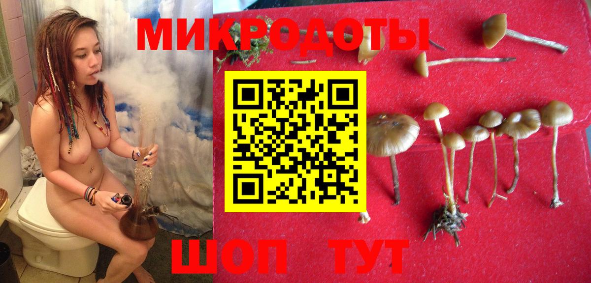Галлюциногенные грибы мицелий  Псилоцибиновые грибы мухоморы  Горячий Ключ  Вход с VPN 